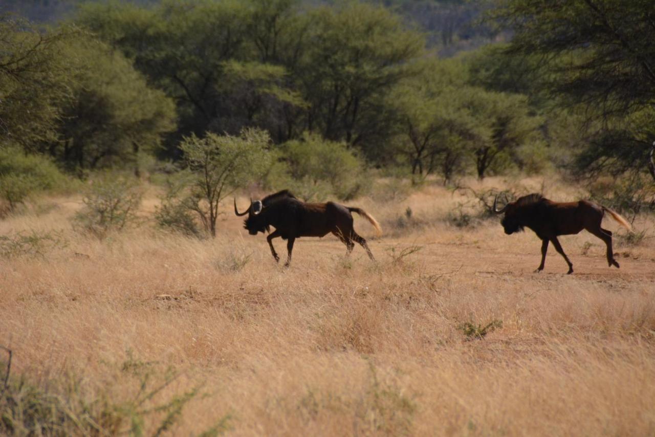 Villa Gabus Game Ranch Otavi Exterior foto