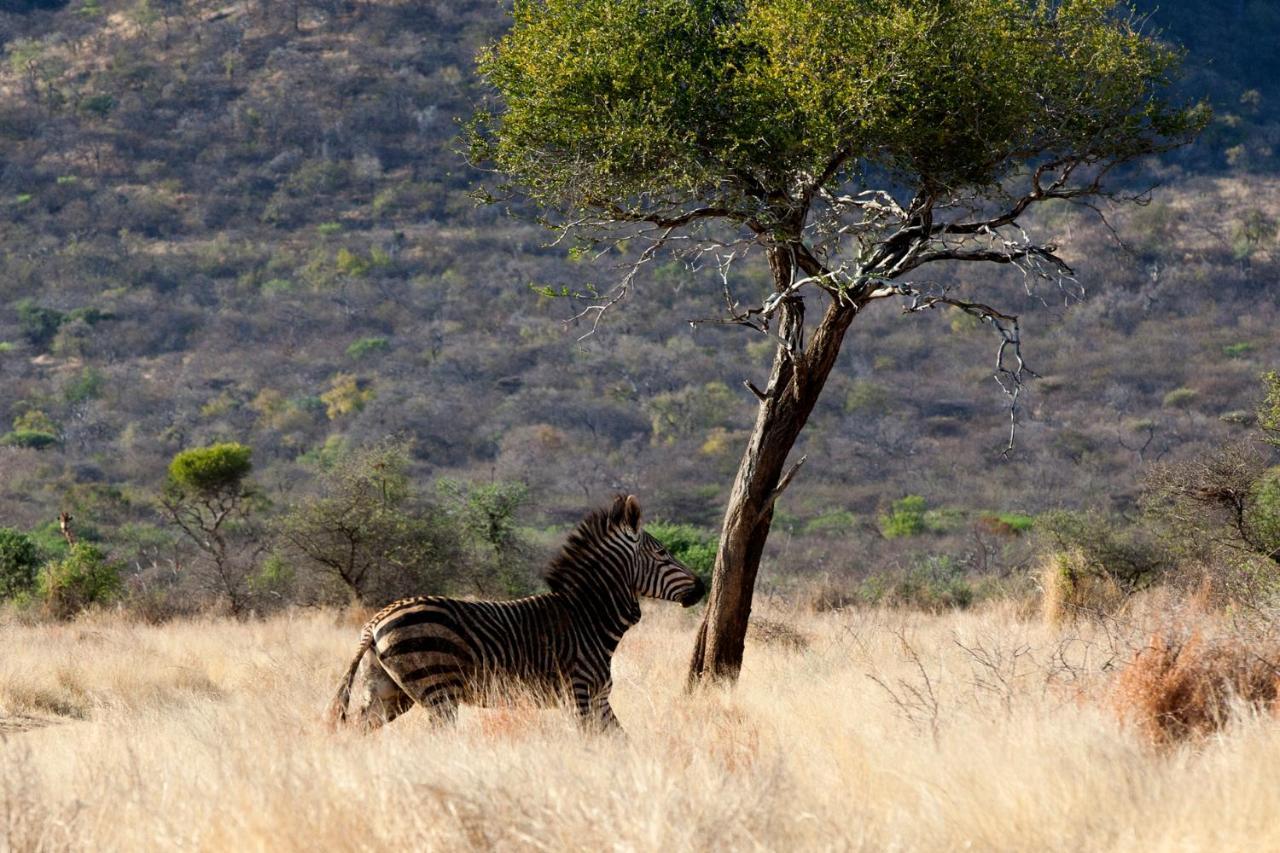 Villa Gabus Game Ranch Otavi Exterior foto