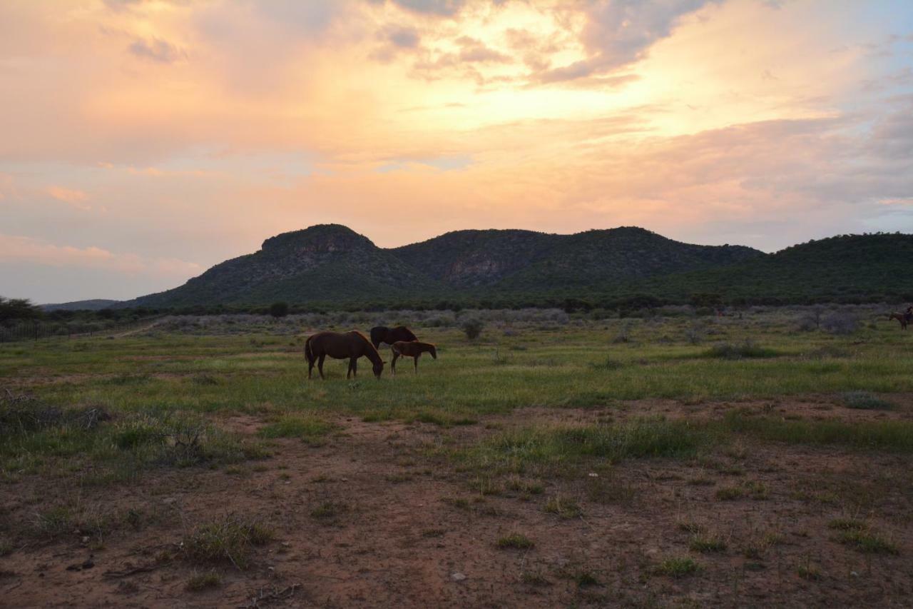 Villa Gabus Game Ranch Otavi Exterior foto